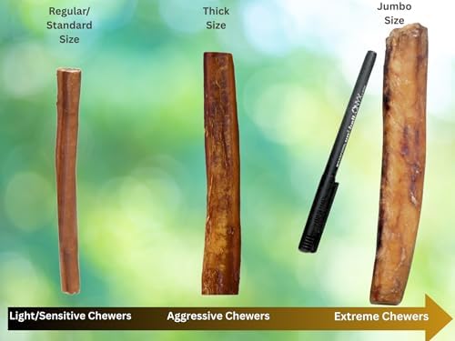 Regular Fully Organic Bully Sticks (1 Pound – 6 Inch) (16 oz Pack) - All Natural, 100% Beef Pizzle Dog Chews, Fully Digestible, Best Dental Treats for Puppies, Medium & Small Dogs (6") (1 lb) - Image 3