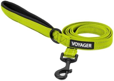 Best Pet Supplies Voyager Nylon Dog Leash - 6ft Lime Green, Large by BestPetSuppliesLLC
