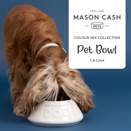 Mason Cash Non-Tip Dog Bowl - 21 cm, 1.6 L Cream Ceramic Food & Water Dish - Image 3