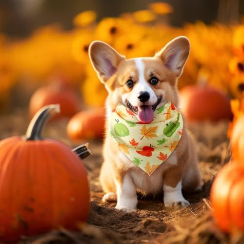Weewooday 50 Pcs Fall Thanksgiving Dog Bandanas Bulk, Small Pets Charm - Image 4