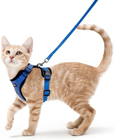 rabbitgoo Cat Harness and Leash Set, Escape Proof Vest, Navy Blue by rabbitgoo