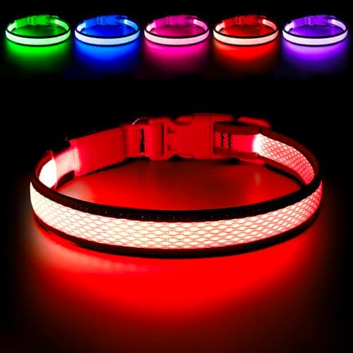 Flashseen LED Dog Collar, Light Up Dog Collar USB Rechargeable (Red, Large) by Flashseen