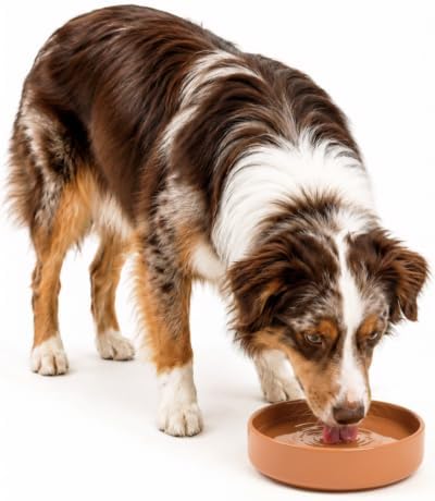 The Perfect Dish - Silicone Dog Bowl for Food & Water,7.5"x2.25"-Terracotta by ShouldWeGo