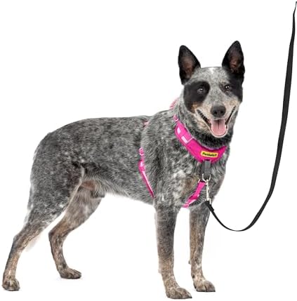 PetSafe Easy Walk Comfort No Pull Dog Harness, Pink, Medium by PetSafe