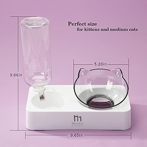 Marchul Double Elevated Dog Cat Bowl, Pets Water and Food Bowl Set, 15° Raised Tilted Dishes Indoor for Kitten, Puppies, Small or Medium Size Dogs Cats - Image 6