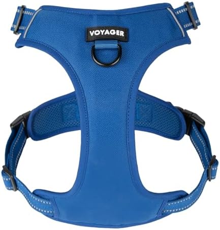 Voyager Dual Attachment No Pull Harness - Royal Blue, Large by BestPetSuppliesLLC