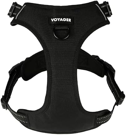 Voyager Dual Attachment No Pull Harness - Black, Large by BestPetSuppliesLLC