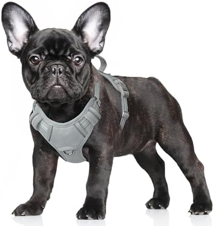 BARKBAY Dog Harness for Small Sized Dog No Pull Dog Vest ID Tag Pocket by BARKBAY
