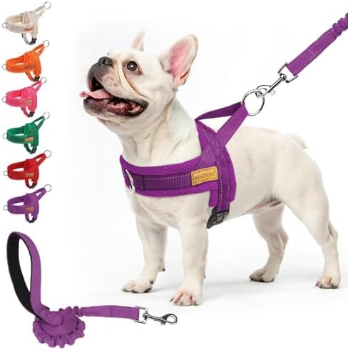 BEAUTYZOO Dog Harness Medium Sized and Leash Set, No Pull Step in Pet Vest by BEAUTYZOO