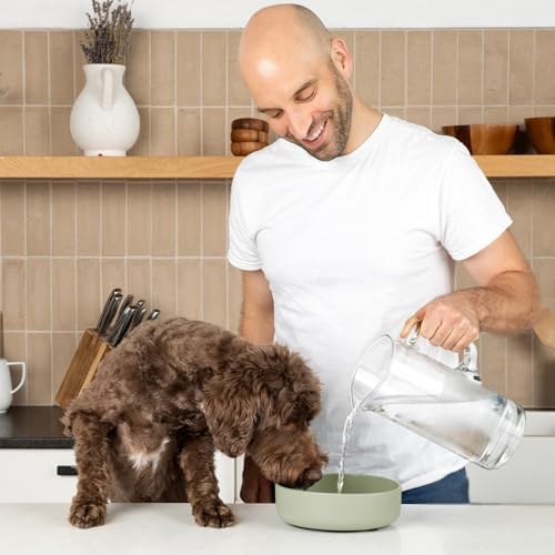 The Perfect Dish - Silicone Dog Bowl for Food & Water, 7.5"x2.25"- Sage - Image 2