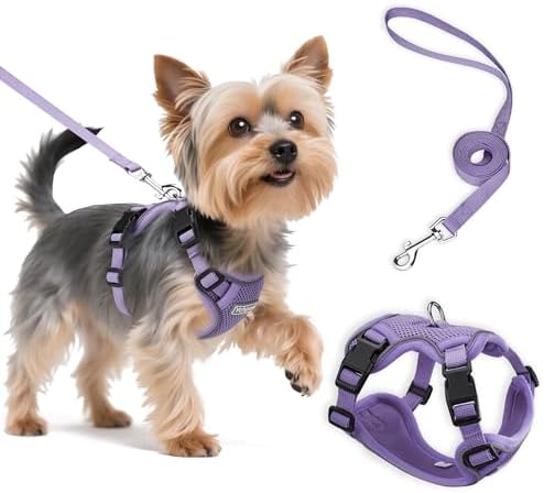 Small Dog Harness and Leash Set, Adjustable Small Sized Pet Vest by Unknown