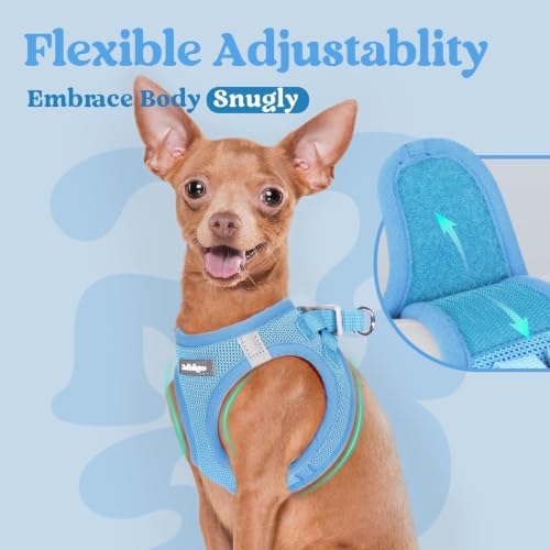 rabbitgoo Step-in Small Dog Harness, Puppy Vest for Small Sized Pet - Image 6