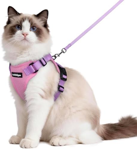 rabbitgoo Cat Harness and Leash Set, Escape Proof Vest, Pink & Light Purple by rabbitgoo