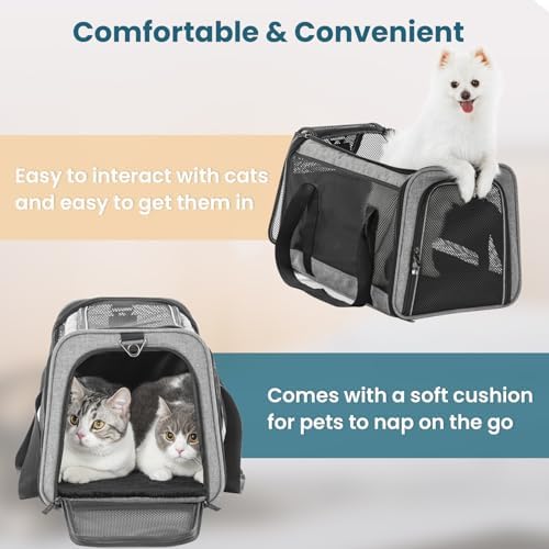 PETSFIT Large Cat Car Carrier,19 x 12 x 12 - Image 6