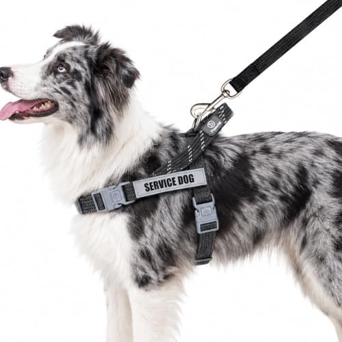 No Pull Dog Harness and Leash Set, Australian Dog Harness, Service Dog Harness with Handle and 4 Reflective Patches, Adjustable Training Vest for Small, Medium and Large Dogs (Black,M) by Paworld