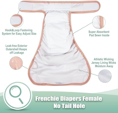 wegreeco Frenchie Dog Diapers Female No Tail Hole, Washable Pet French Puppy Bulldog Diapers Female for Period Heat, Reusable Doggy Doggie Dog Diapers（Large） - Image 4