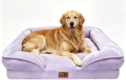 Spotted Play Orthopedic Dog Bed with Sides - Sofa Beds for Extra Large Dogs, Supportive Foam Pet Couch Bed with Washable Removable Cover, Waterproof Lining and Non-Slip Bottom, Purple - XL by Spotted+Play
