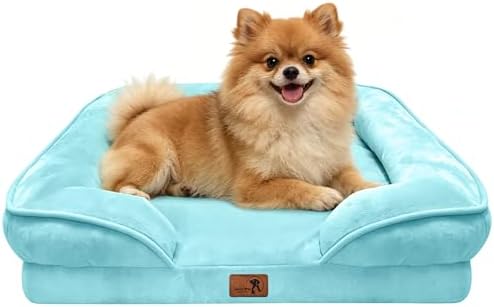 Spotted Play Orthopedic Dog Bed with Sides - Sofa Beds for Small Dogs, Supportive Foam Pet Couch Bed with Washable Removable Cover, Waterproof Lining and Non-Slip Bottom, Ice Blue - S by Spotted+Play