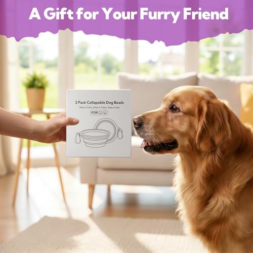 Collapsible Dog Bowl Large 34oz, Travel Dog Water Bowl Portable - Image 4