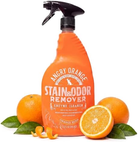 ANGRY ORANGE Stain & Odor Remover - 32oz Pet Urine Enzyme Cleaner - Enzymatic Dog & Cat Pee Destroyer and Odor Eliminator - NEW Orange Rush Scent Cleaning Solution for Home by AngryOrange