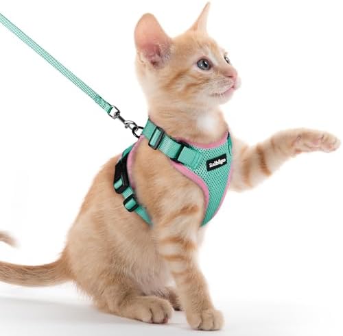 rabbitgoo Cat Harness and Leash Set, Escape Proof Vest, Green & Pink by rabbitgoo