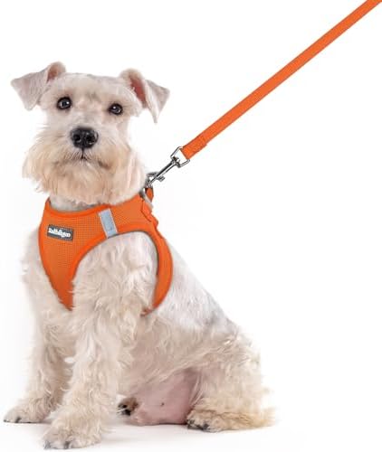 rabbitgoo Dog Harness Medium Sized and Leash Set, Step-in Puppy Pet Vest by rabbitgoo