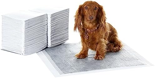Amazon Basics Carbon Odor Control Dog and Puppy Pee Pads, 5-Layer Leak-Proof Super Absorbent, Quick-Dry Surface for Potty Training, Regular Size 22"x22", Gray, 80 Count by AmazonBasics