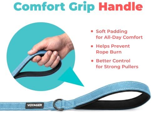 Best Pet Supplies Voyager Nylon Dog Leash - Sky Blue, Medium - Image 5