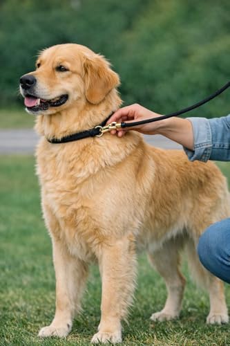 Resco Nylon Dominant Dog Collar for Training and Handling, 18", Fawn - Image 7