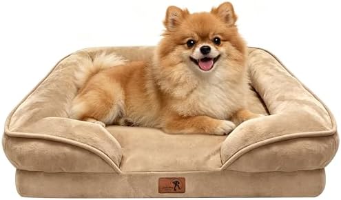 Spotted Play Orthopedic Dog Bed with Sides - Sofa Beds for Small Dogs, Supportive Foam Pet Couch Bed with Washable Removable Cover, Waterproof Lining and Non-Slip Bottom, Brown - S by Spotted+Play