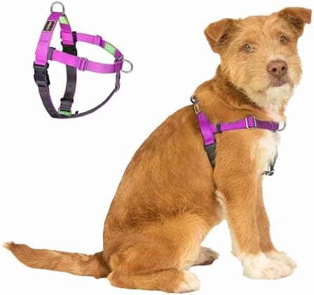 Easy Walk No Pull Dog Harness, Purple, Medium by APDEXY%7CEspeciallyFurYou