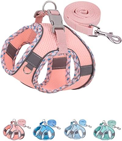 Petank Dog Harness for Small Medium Dogs No Pull, Puppy Harness and Leash Set, Step in Dog Harness for Walking, Running, Training, Small Dog Vest, Medium Dog Vest (Pink, M) by PetankCareforEveryPaw