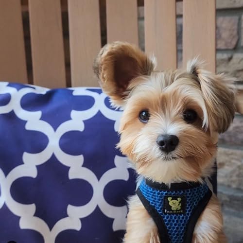 EcoBark Step in Dog Harness, Reflective Soft Ultra Padded Mesh Pet Vest - Image 5