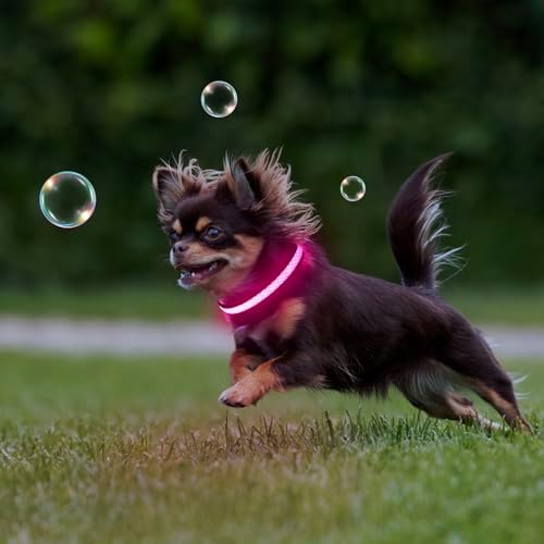 Flashseen LED Dog Collar, Light Up Dog Collar USB Rechargeable (Pink, X-Small) - Image 6