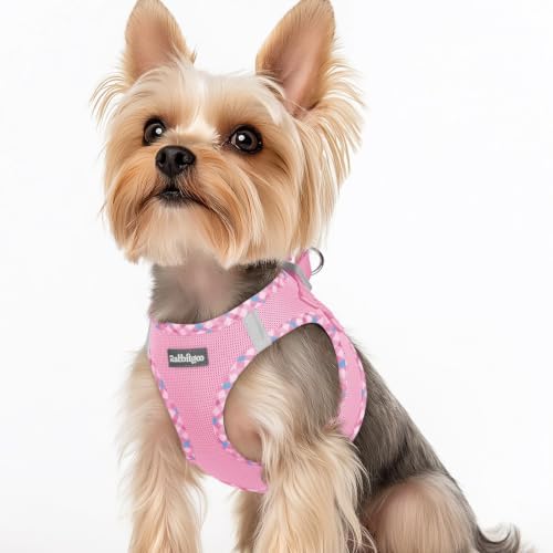 rabbitgoo Step-in Small Dog Harness, Puppy Vest for Small Sized Pet by rabbitgoo
