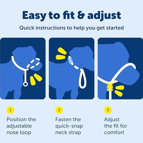 PetSafe Gentle Leader No-Pull Dog Headcollar - The Ultimate Solution to Pulling - Redirects Your Dog's Pulling for Easier Walks - Helps You Regain Control - Small, Apple Green - Image 6