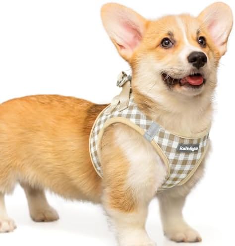 rabbitgoo Step-in Small Dog Harness, Puppy Vest for Small Medium Sized Pet by rabbitgoo