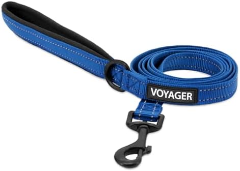 Best Pet Supplies Voyager Nylon Dog Leash - Royal Blue, Medium by BestPetSuppliesLLC