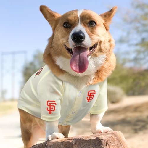 Official MLB San Francisco Giants Pet Jersey for Dogs & Cats, Size X-Small - Stylish Baseball Jersey for Your Furry Fan- Show Off Team Spirit with The Perfect Fan Apparel Gear for Pet, Dog & Cat - Image 4