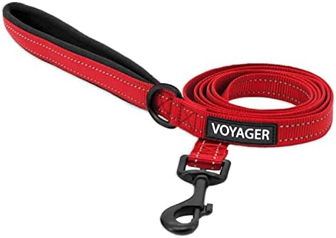 Best Pet Supplies Voyager Nylon Dog Leash - Red, Large by BestPetSuppliesLLC