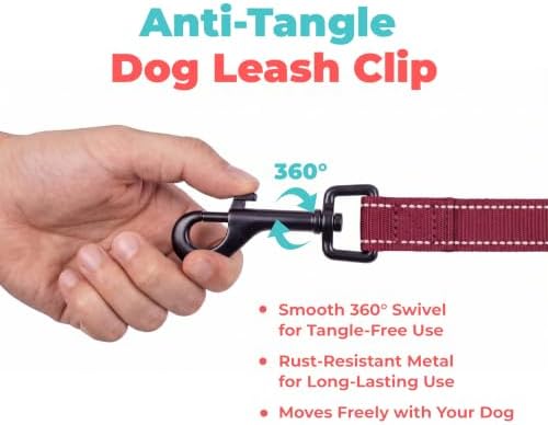 Best Pet Supplies Voyager Nylon Dog Leash - Burgundy, Small - Image 7