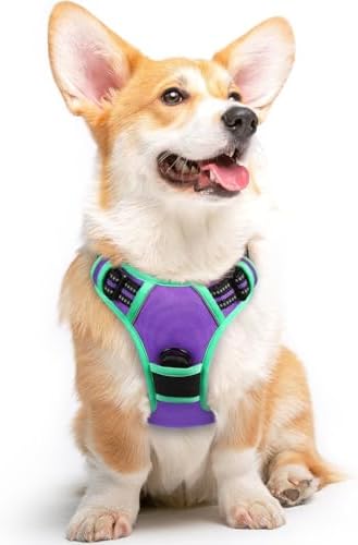 Eagloo Dog Harness for Medium Sized Dogs, No Pull Vest with 2 Leash Clips by GoExplorewithEagloo