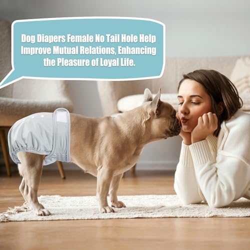 wegreeco Frenchie Dog Diapers Female No Tail Hole, Washable Pet French Puppy Bulldog Diapers Female for Period Heat, Reusable Doggy Doggie Dog Diapers (Medium - Image 6