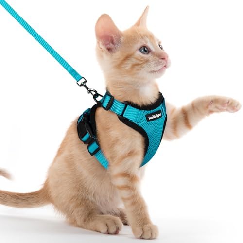 rabbitgoo Cat Harness and Leash Set, Escape Proof Vest, Teal by rabbitgoo