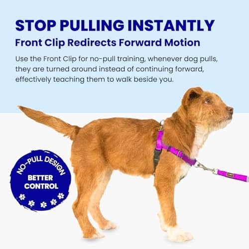 Easy Walk No Pull Dog Harness, Purple, Medium - Image 2