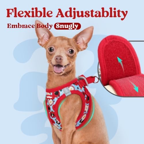 rabbitgoo Step-in Small Dog Harness, Puppy Vest for Small Sized Pet - Image 6