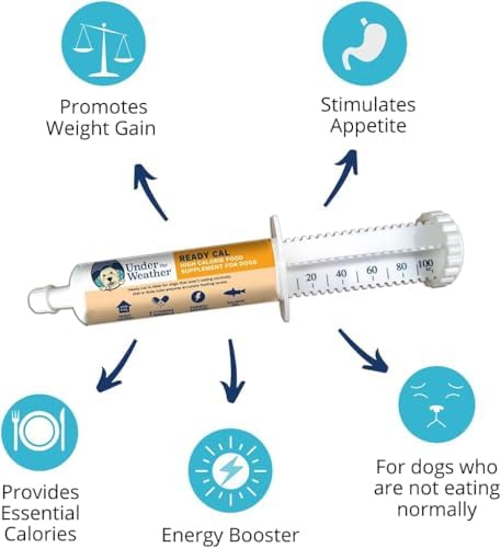 Under the Weather Pet | Ready Cal for Dogs 100cc | High Calorie Supplement | Dog Weight Gainer and High Calorie Booster | 10 Vitamins, 7 Minerals & Omega Fatty Acids (2 Pack) - Image 3