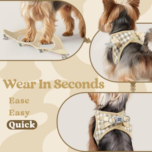 rabbitgoo Step-in Small Dog Harness, Puppy Vest for Small Sized Pet - Image 6