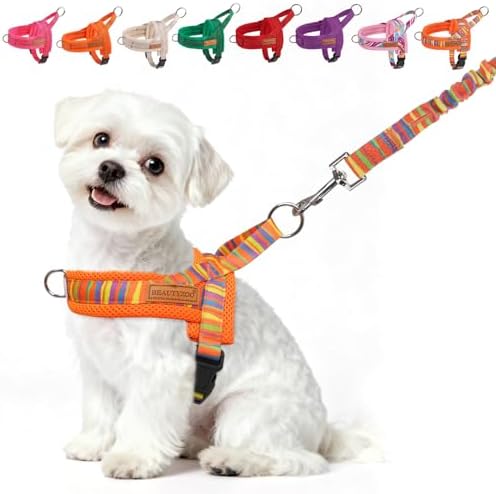 BEAUTYZOO Small Dog Harness and Leash Set, No Pull Step in Puppy Vest by BEAUTYZOO