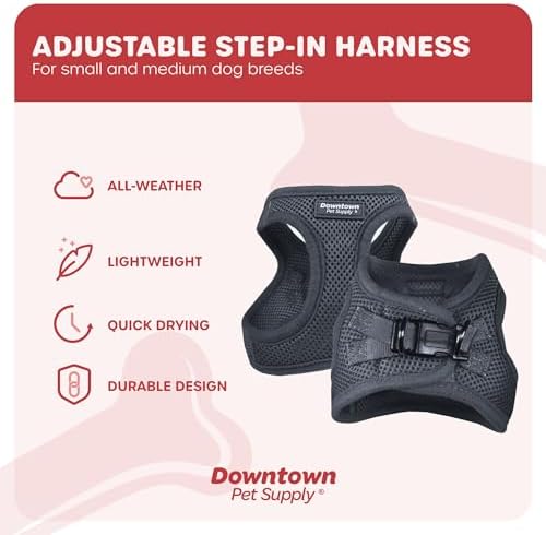 Downtown Pet Supply Step-in Dog Harness – No Pull, Adjustable Padded Mesh with Reflective Trim, Secure Buckle Strap – Comfortable & Breathable Small Dog Harness, X-Small, Charcoal - Image 3